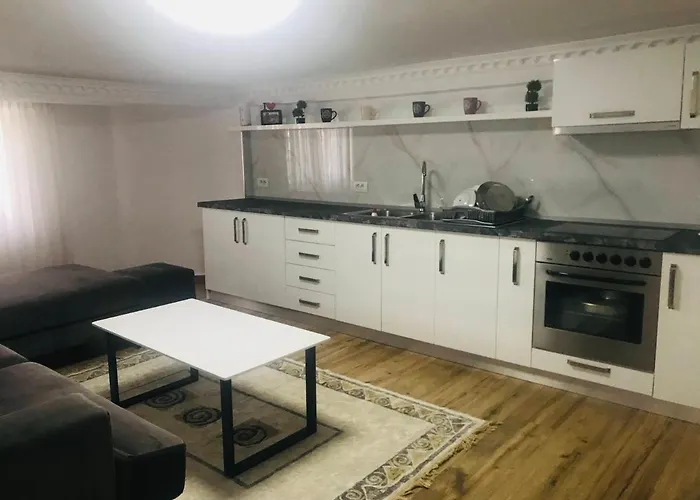 House, 1 Bedroom & 1 Kitchen Apartment, Located In Center 公寓 爱尔巴桑